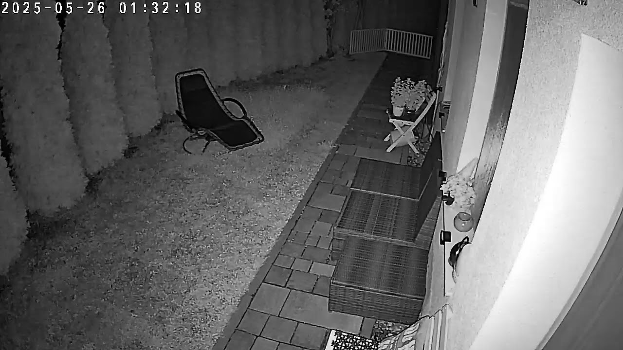 What a Night … Security Cam Alert Part 11