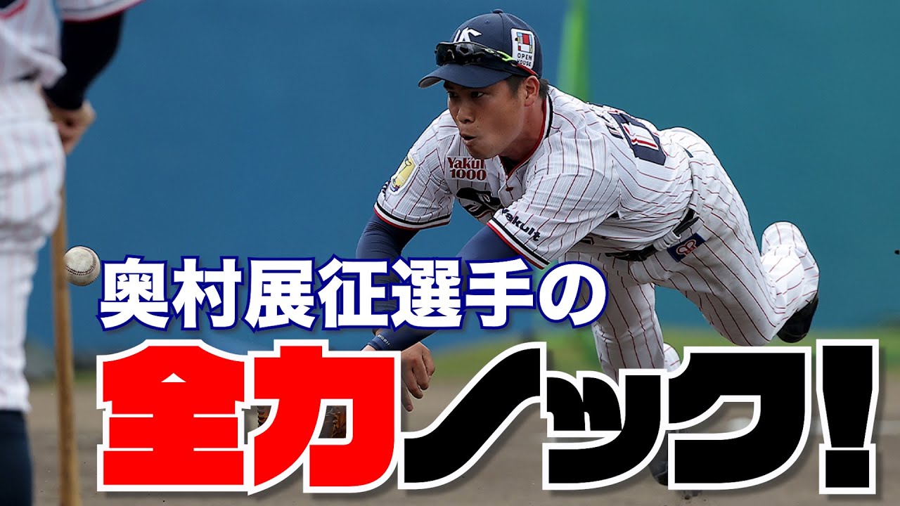 【元気が出る動画】奥村選手の全力声出しノック！｜東京ヤクルトスワローズ2023春季キャンプ