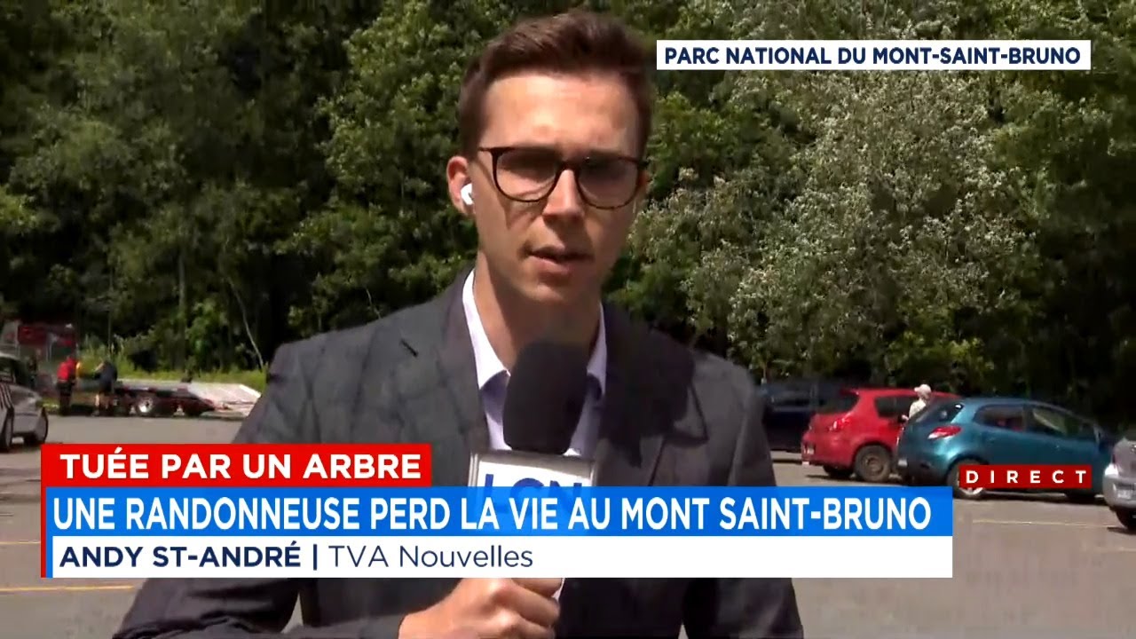 Tuée par un arbre au parc du Mont-Saint-Bruno