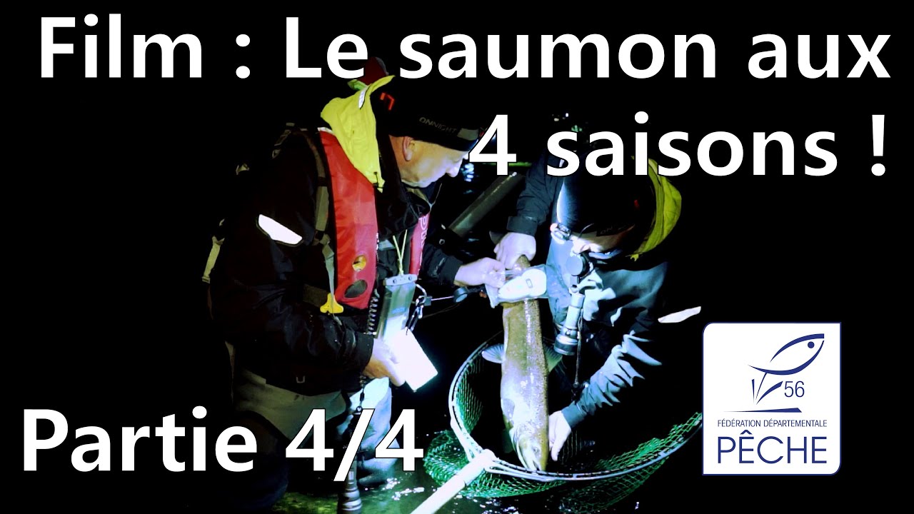 Le Saumon aux 4 saisons : Épisode 4/4 - L'hiver, les recaptures des adultes !