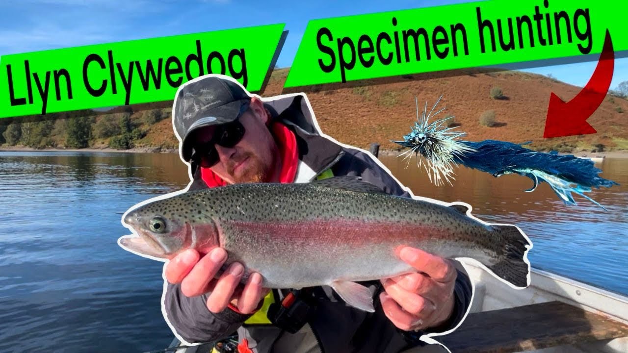 UK Reservoir Fly Fishing At Llyn Clywedog targeting SPECIMEN Rainbows #flyfishing #fishing #fish