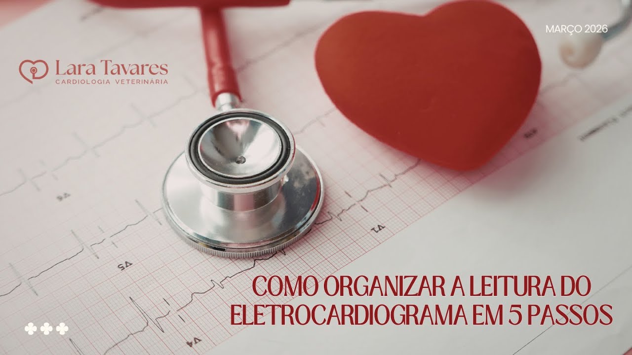 Como Organizar a Leitura do Eletrocardiograma em 5 Passos