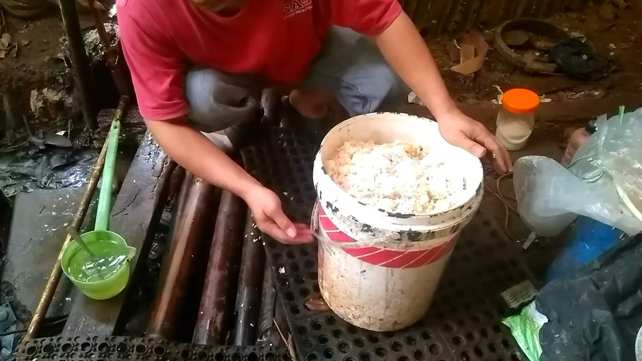 cara membuat pakan ayam dari nasi sisa catering eps.1