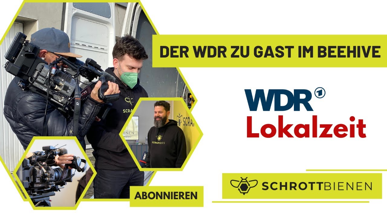 SchrottBienen in der Lokalzeit