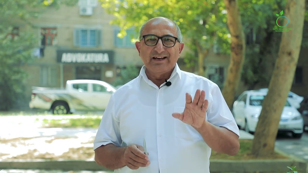 Kichik hajmdagi xolodilniklar foyda keltiradimi?