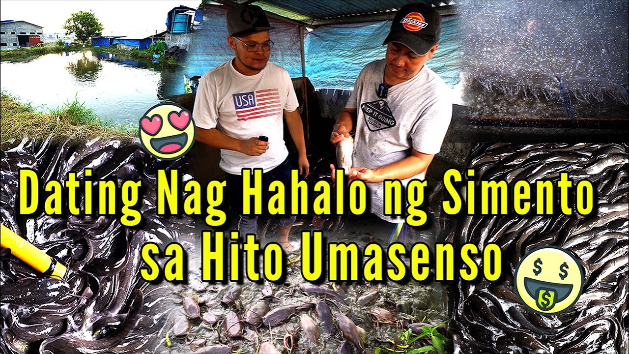 Dating Nag Hahalo ng Simento sa Hito Umasenso