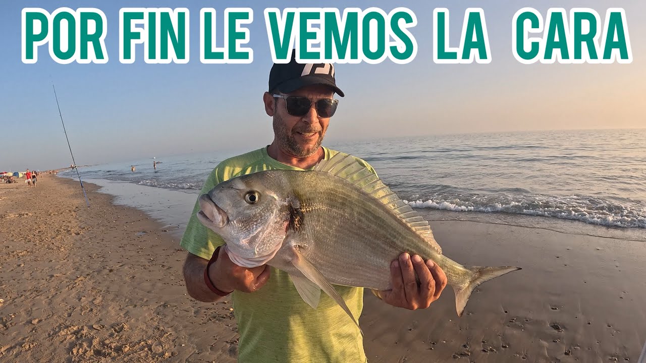 🔥‼️DORADA DE 2,875kg ‼️🔥UNA ESCAPADA CORTA PERO FRENÉTICA
