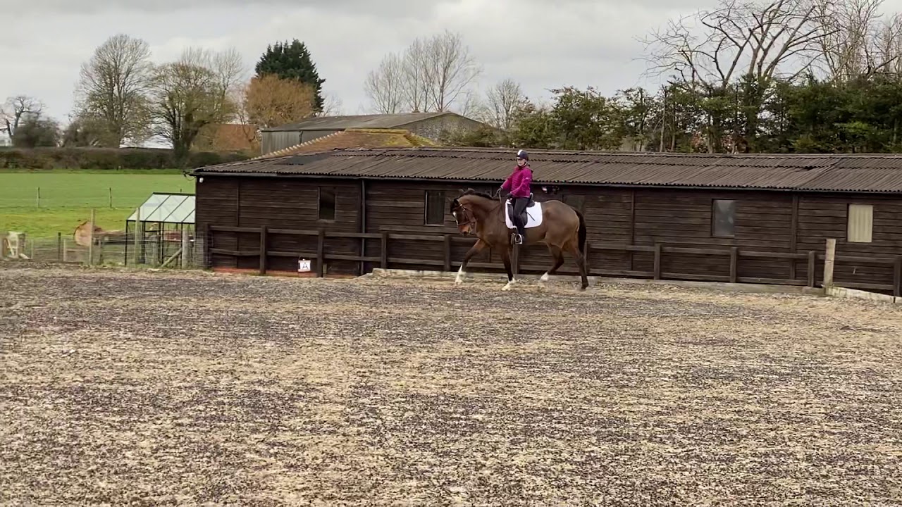 LKF Online Dressage 2021  LKF Lockdown 12 Test