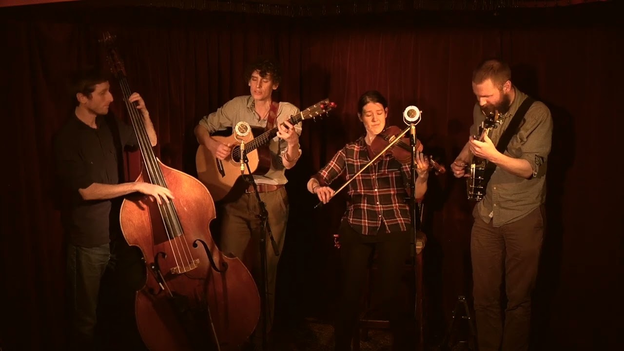 Wayward Jane - Elvis Presley Blues (Live)