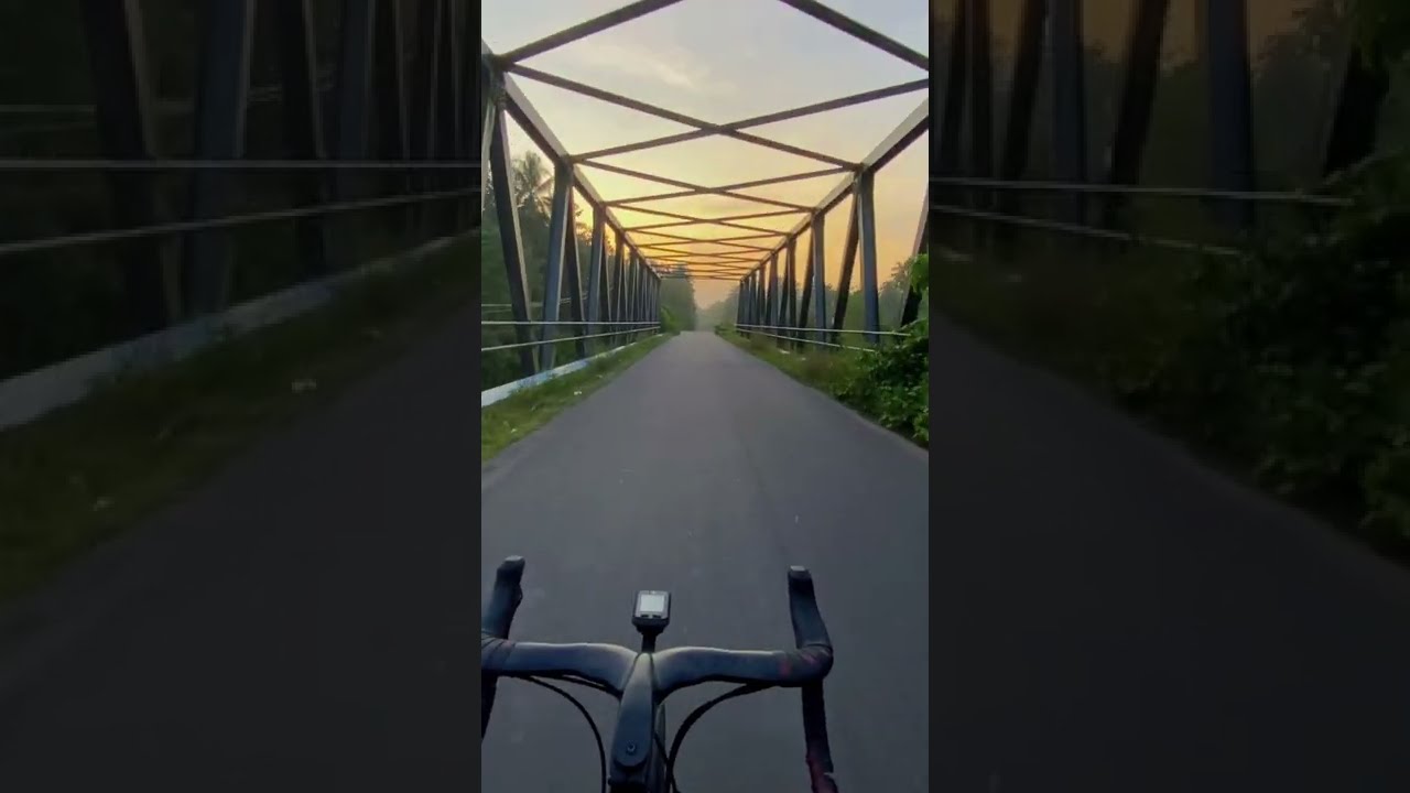 Calm morning ride 🌾