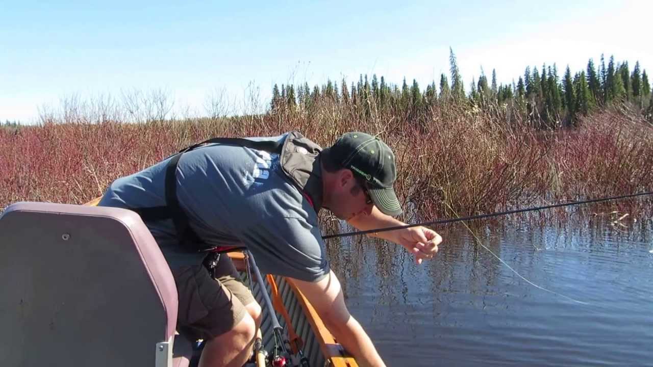 Aaron Shirley On The Attawapiskat