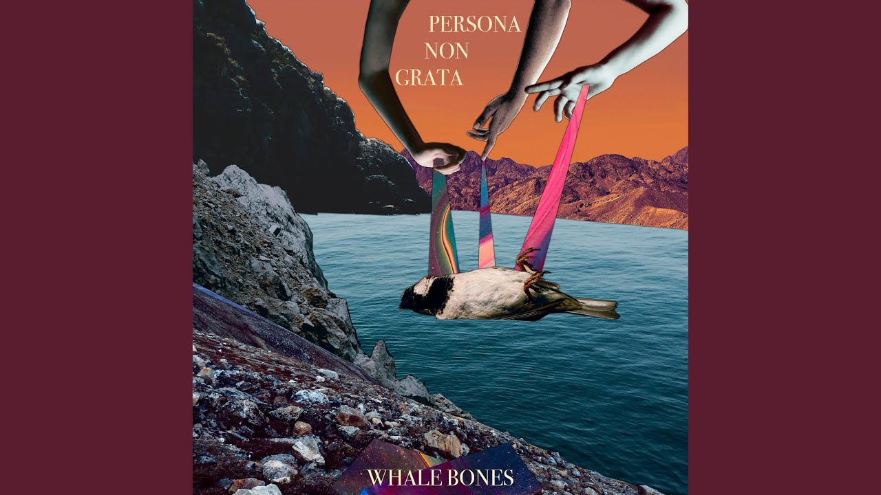 Persona Non Grata
