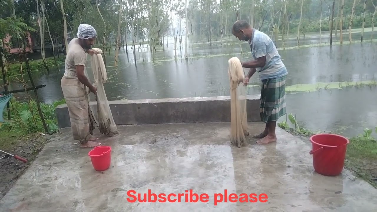 Awesome Traditional Fishing Rainy Season  | Fishing in The Village With nets | New Video 2022