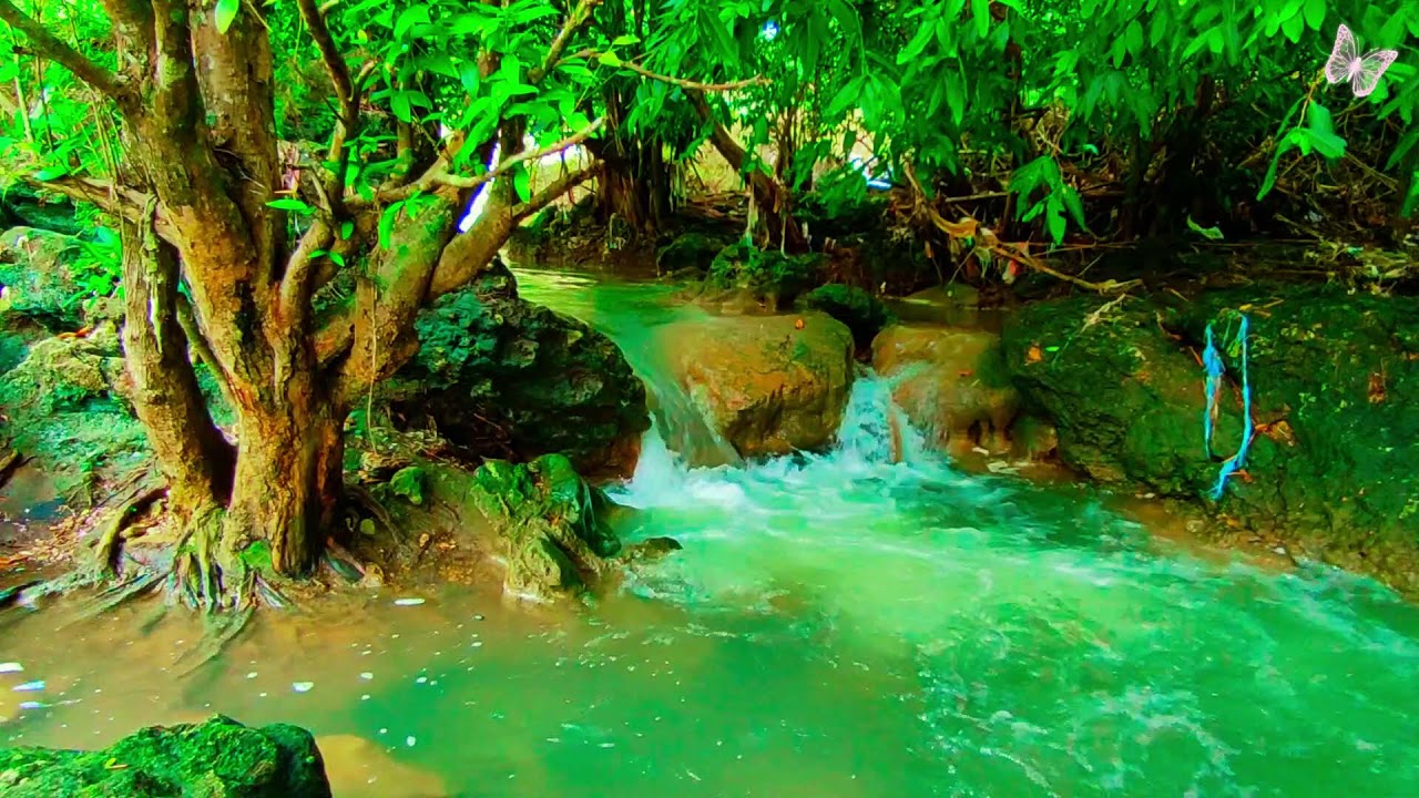 Relaxing Music For Stress Relief, Anxiety and Depressive States🌲Heal Mind, Body and Soul 18