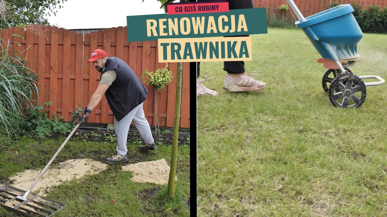 Piaskowanie, dosiewka i nawożenie trawnika po wertykulacji.