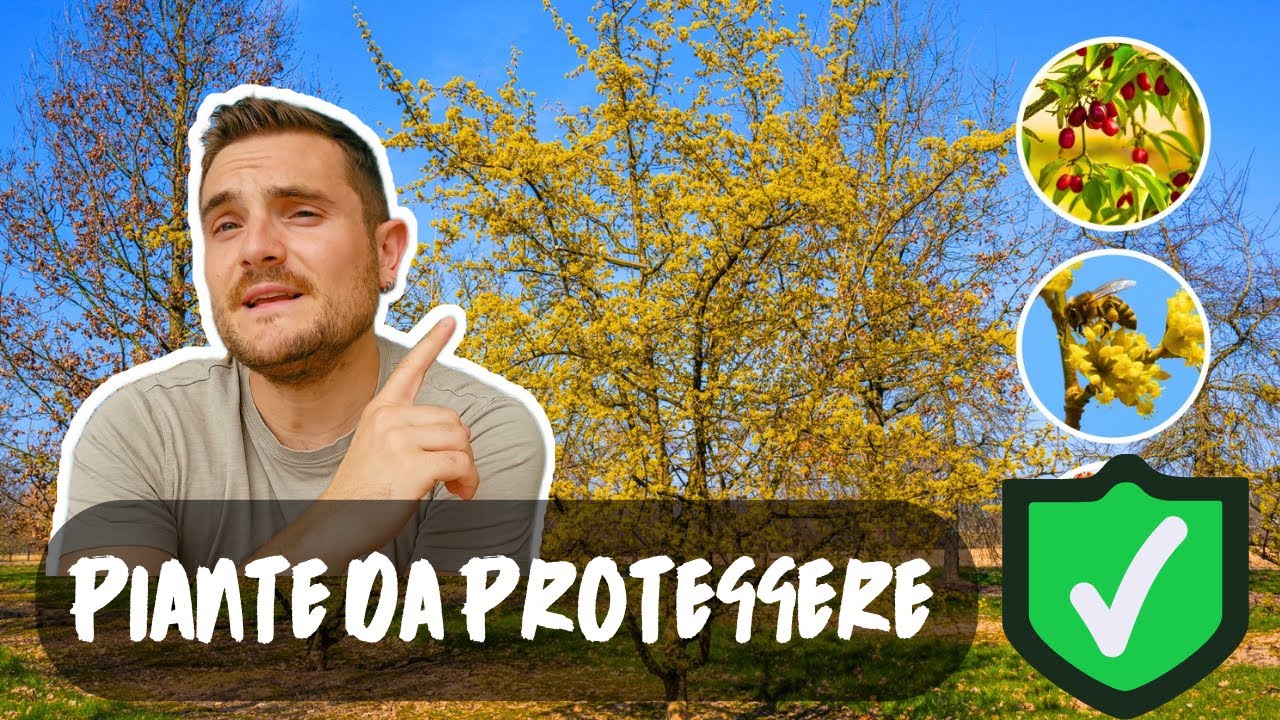 10 PIANTE autoctone ITALIANE da PROTEGGERE