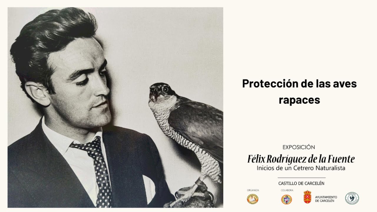 Protección de las aves rapaces 1