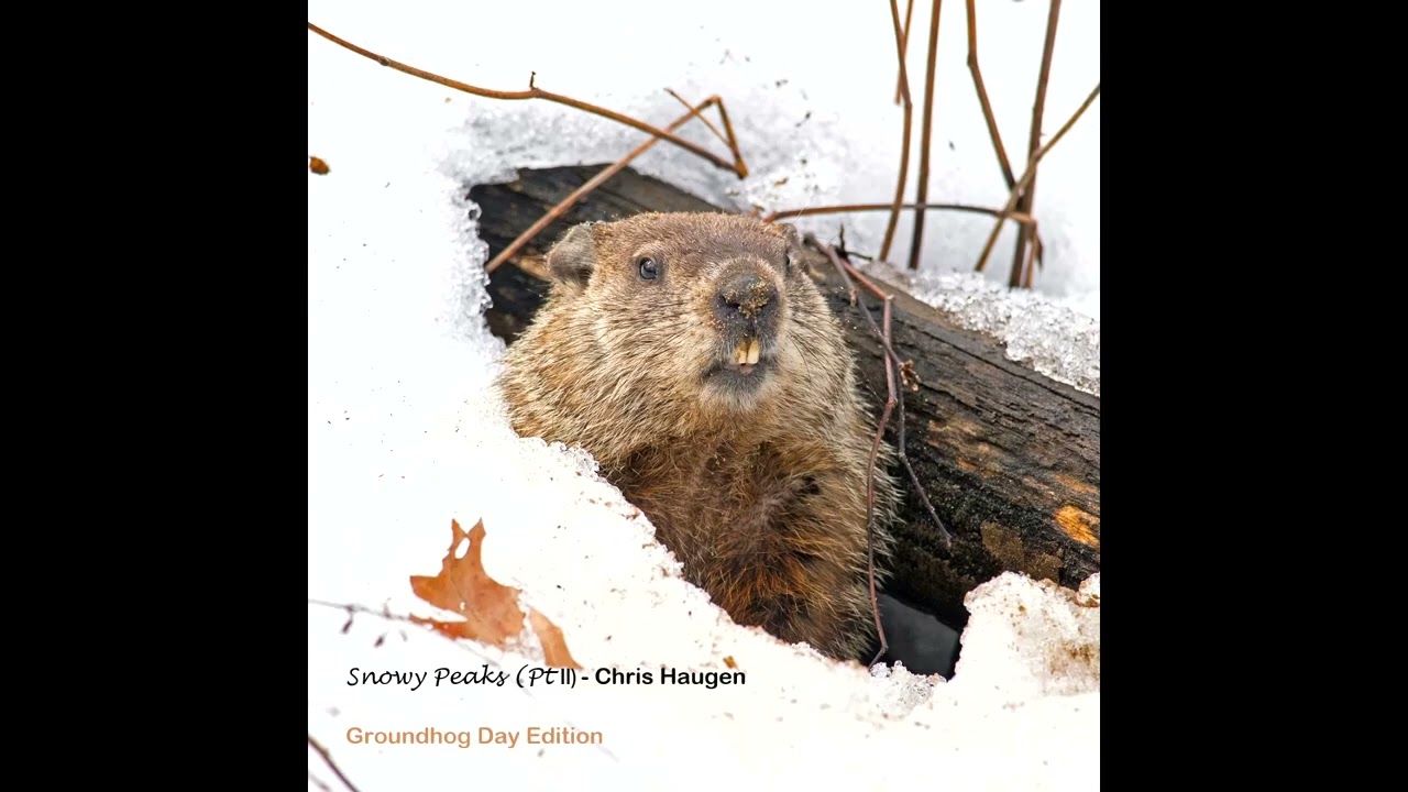 Chris Haugen - Snowy Peaks (Pt II)