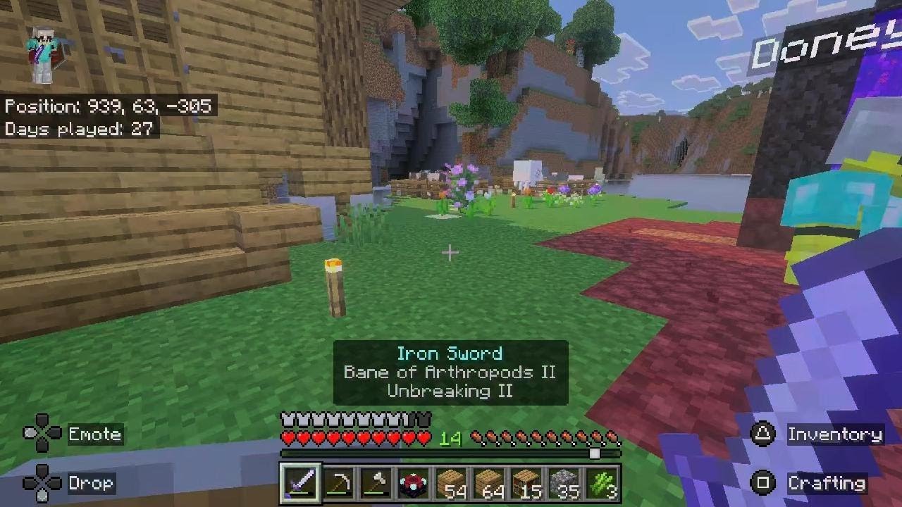 Minecraft Ep7 With Rhyan Books and Ghast