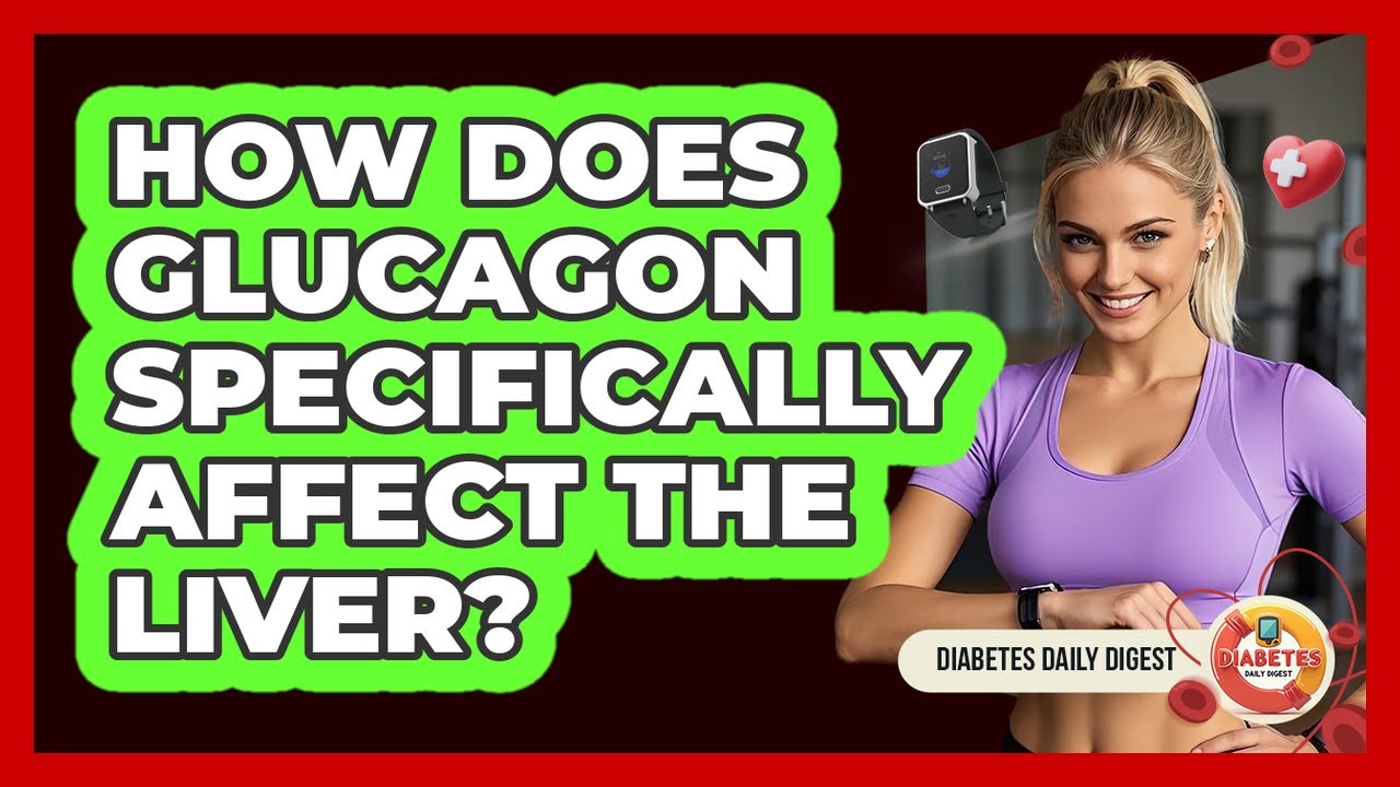 How Does Glucagon Specifically Affect The Liver? - Diabetes Daily Digest