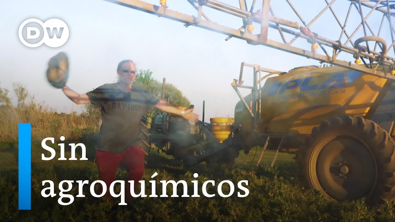 Quijotes en el reino de la soja transgénica