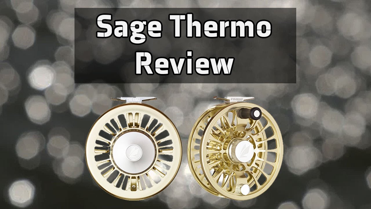 Sage Thermo Fly Reel Review (Best Value Big Game Reel?)