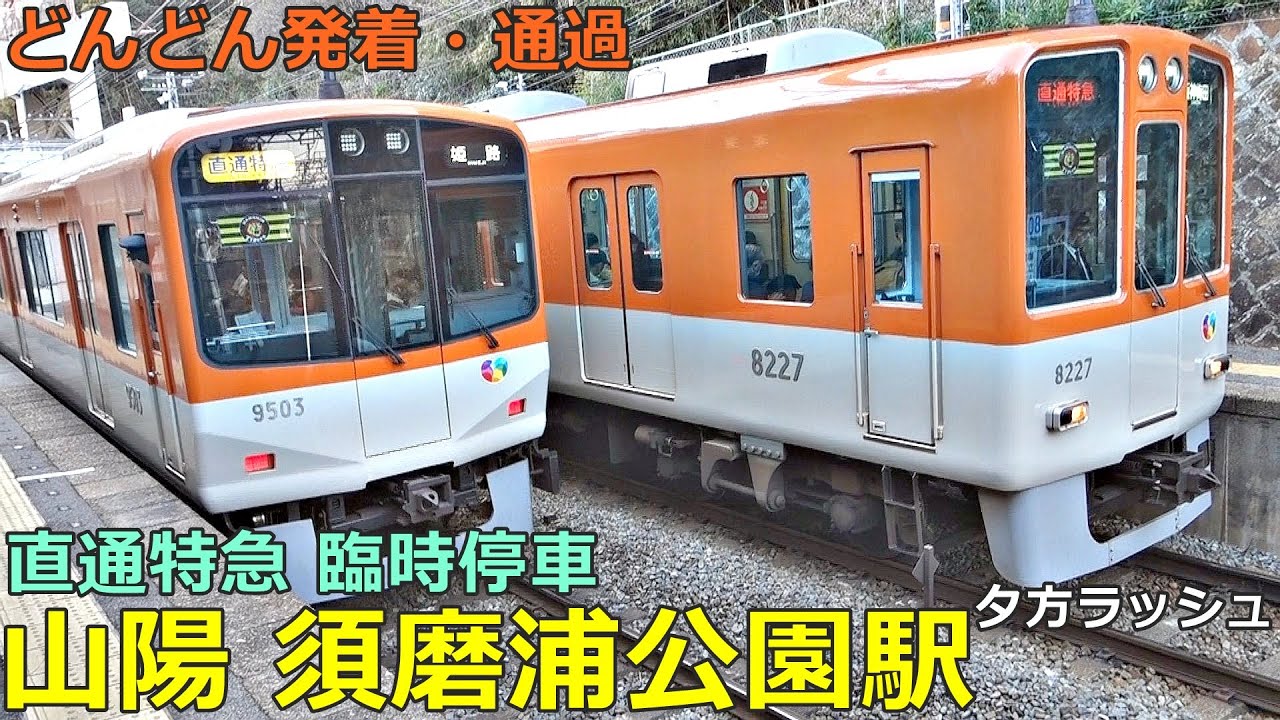 山陽 須磨浦公園駅 3🚃どんどん電車が発着・通過！●直通特急 臨時停車🌸／S特急、普通／夕方ラッシュ（阪神電車乗り入れ）