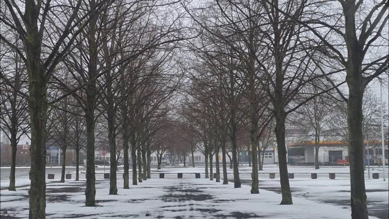 Hannover taut auf! Bye Bye Winter? 🌤️😳💧 || Germany || Cuộc sống ở Đức
