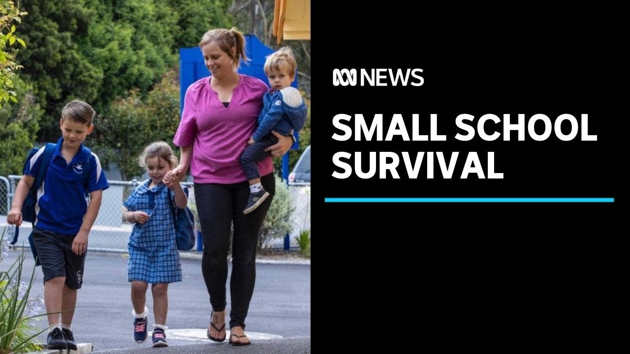 Tasmania's smallest schools fought for survival - was it worth it? | ABC News
