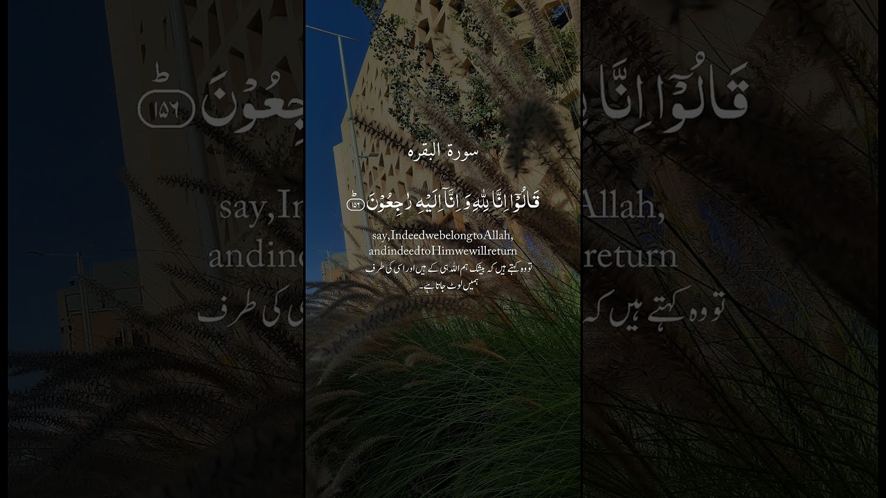 #shortvideos #اكسبلور #arewablogtv #foryou #duet #arewablog #hausablog #hausablogtv