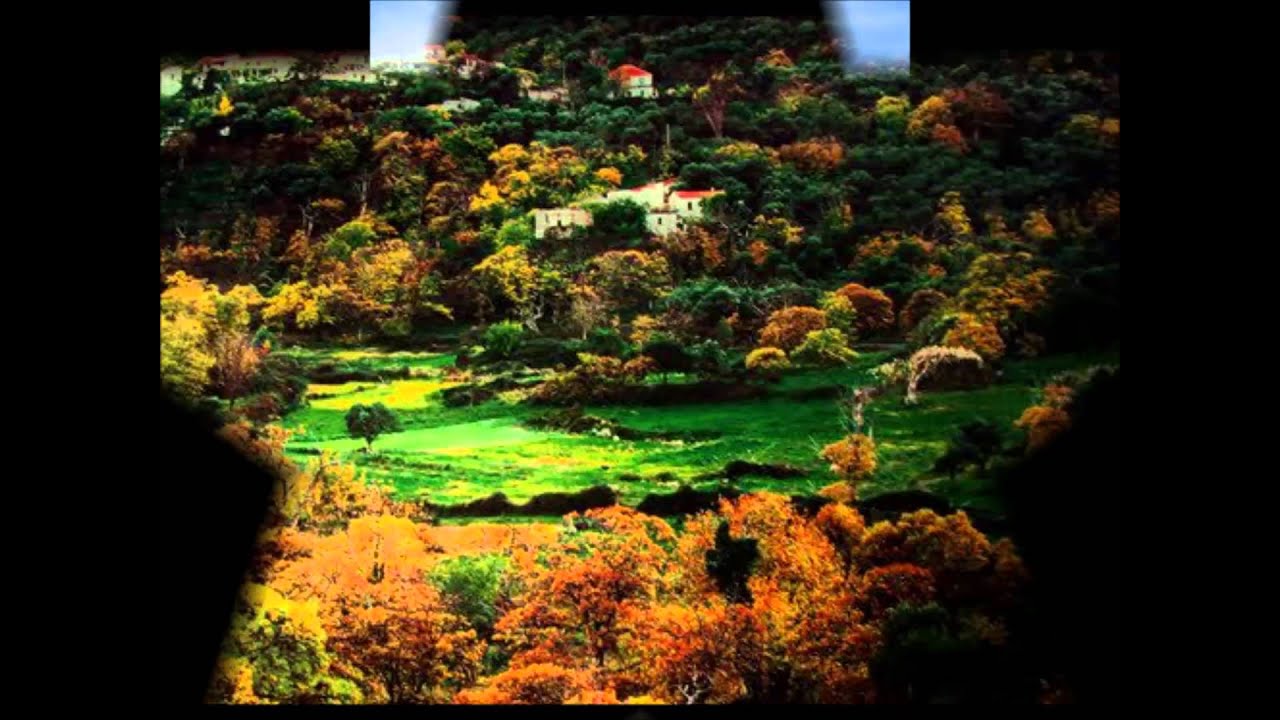 &Epsilon;&Lambda;&Omicron;&Sigma; &Kappa;&Iota;&Sigma;&Alpha;&Mu;&Omicron;&Upsilon;