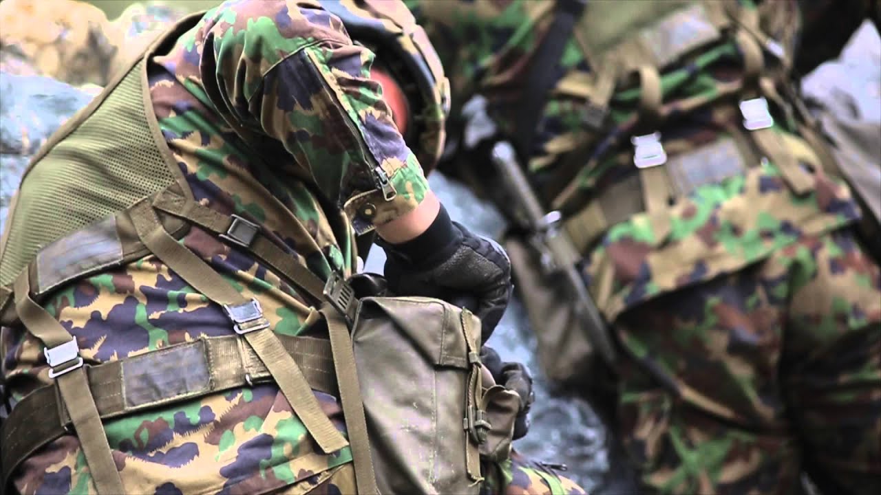 Pz Bat 12 im FDT 2015