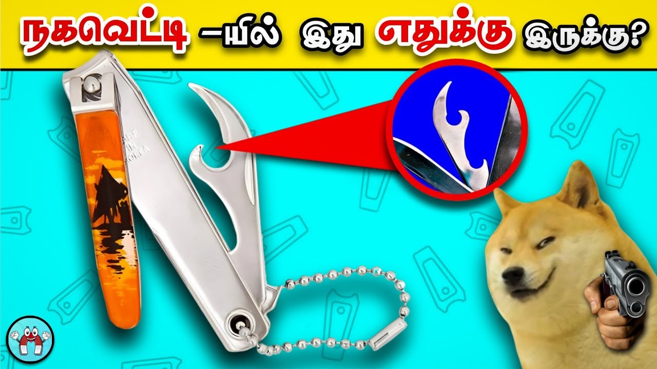 Mind Blowing Facts You should Know (தமிழ்) | Pt.5 | The Magnet Facts