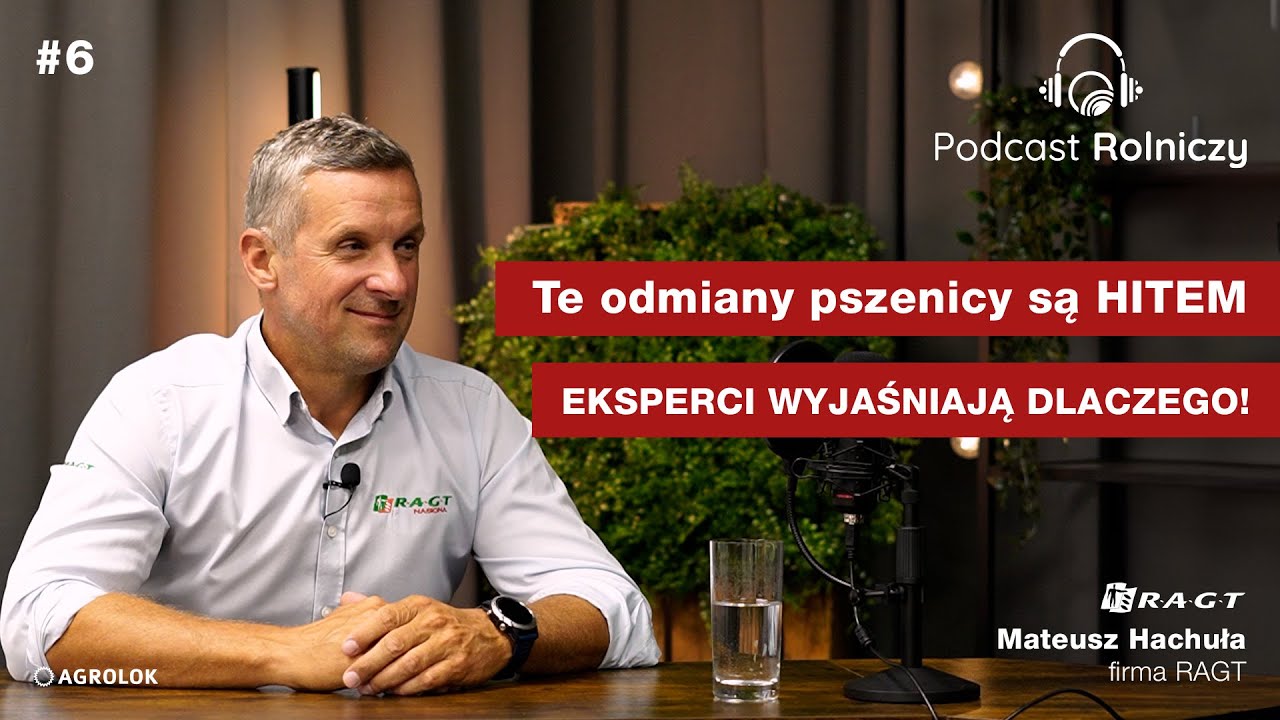 #6 Podcast Rolniczy | Te odmiany pszenicy są HITEM!