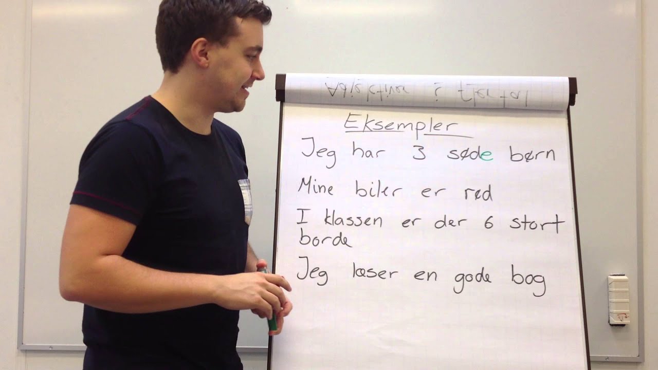 8. Substantiver i flertal og adjektiver