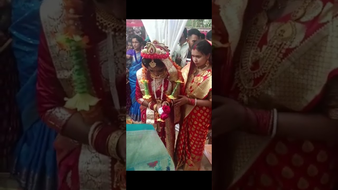 মেঘনার বিয়ের কিছু ছবি ও ভিডিও ক্লিপ