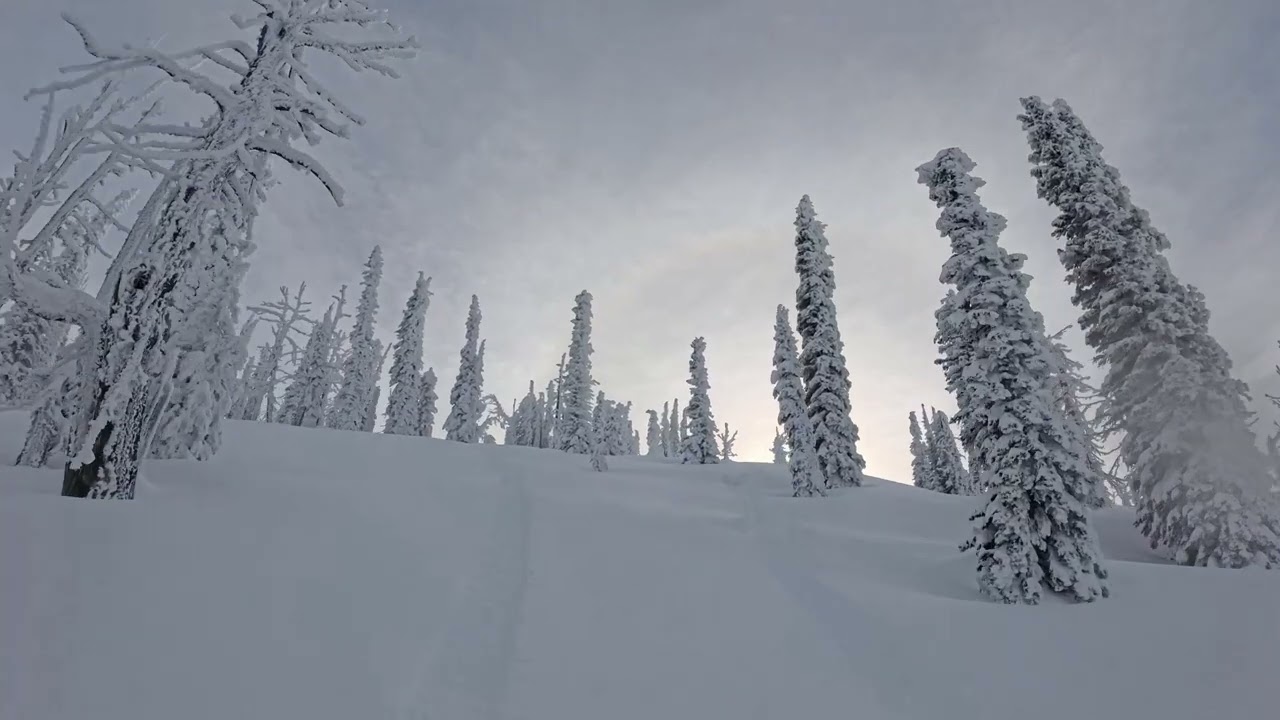 ARTIC CAT 858, CENTRAL IDAHO
