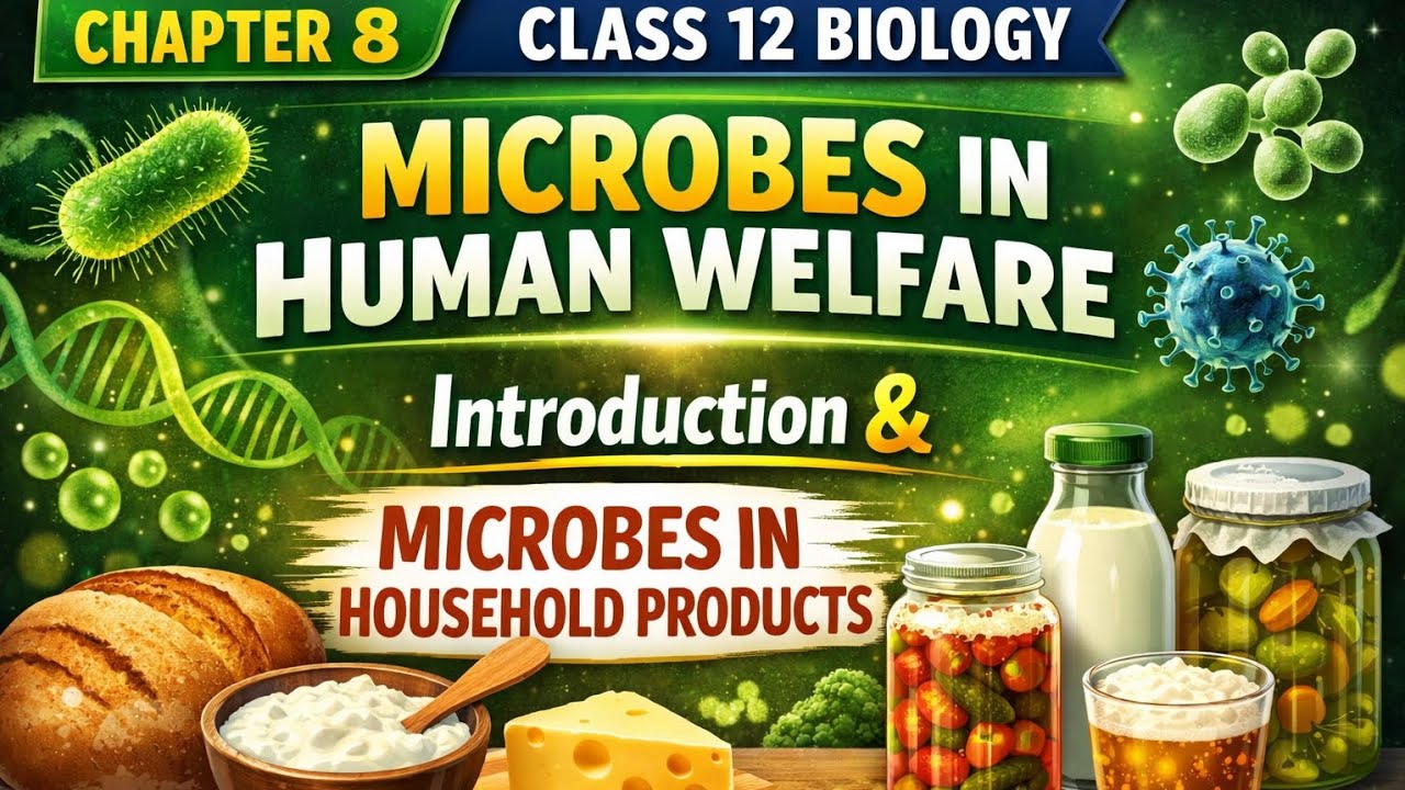 Microbes in Human Welfare | Introduction & Household Products | Class 12 Biology Chapter 8