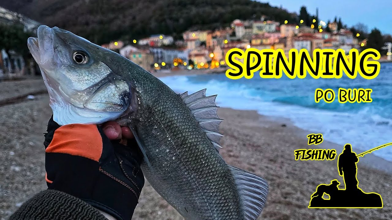 SPINNING - BURNI RIBOLOV