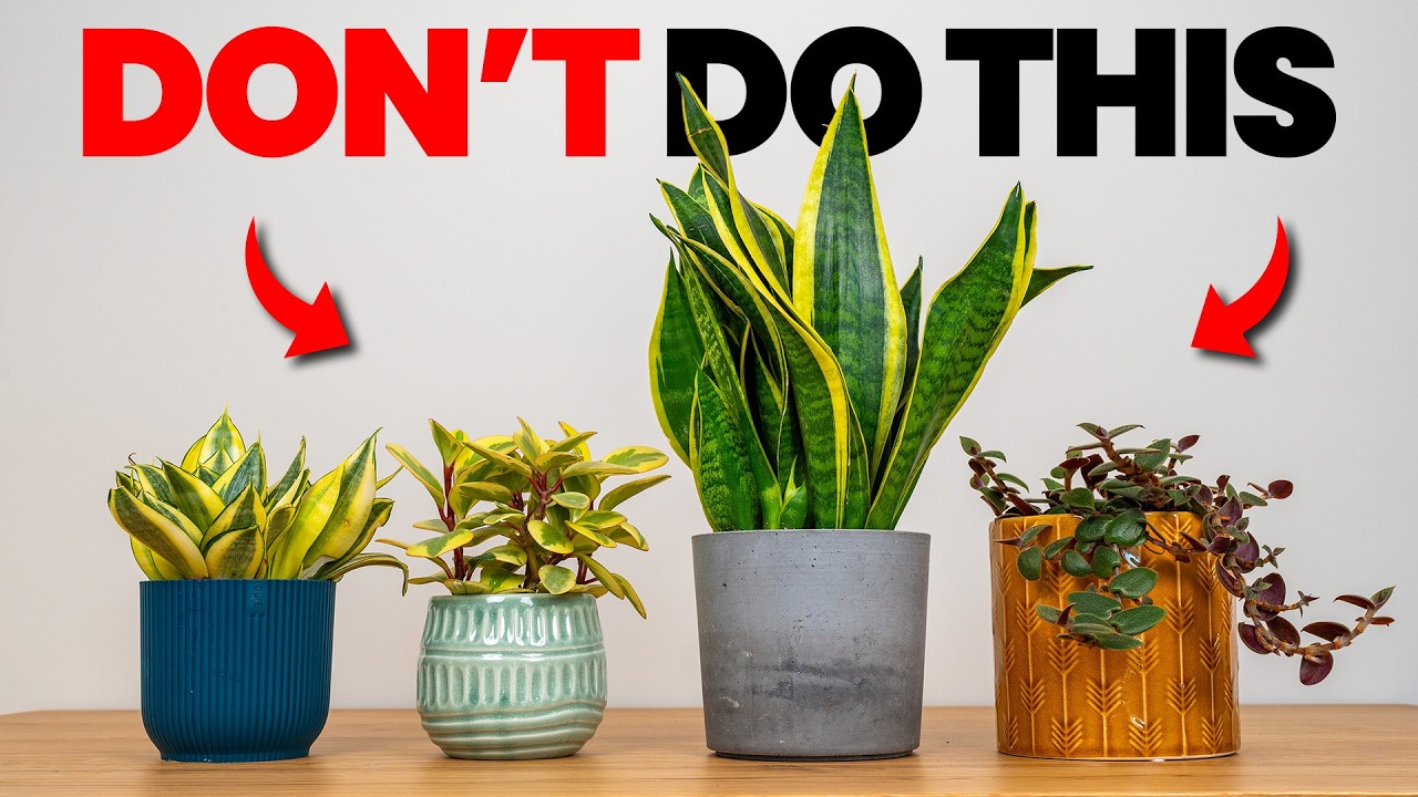 10 Mistakes That Make Your Plants Look CHEAP