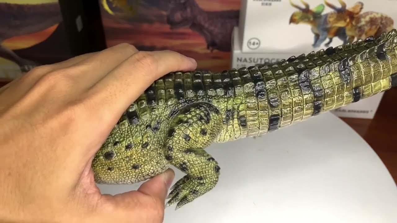 Mô hình rebor cá sấu deinosuchus cực kỳ to lớn sống tù thời tiền sử có kích thước lên đến 11 met  .