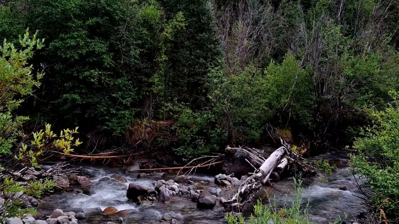 Peaceful River - 35 Minutes Of Pure Nature Sounds