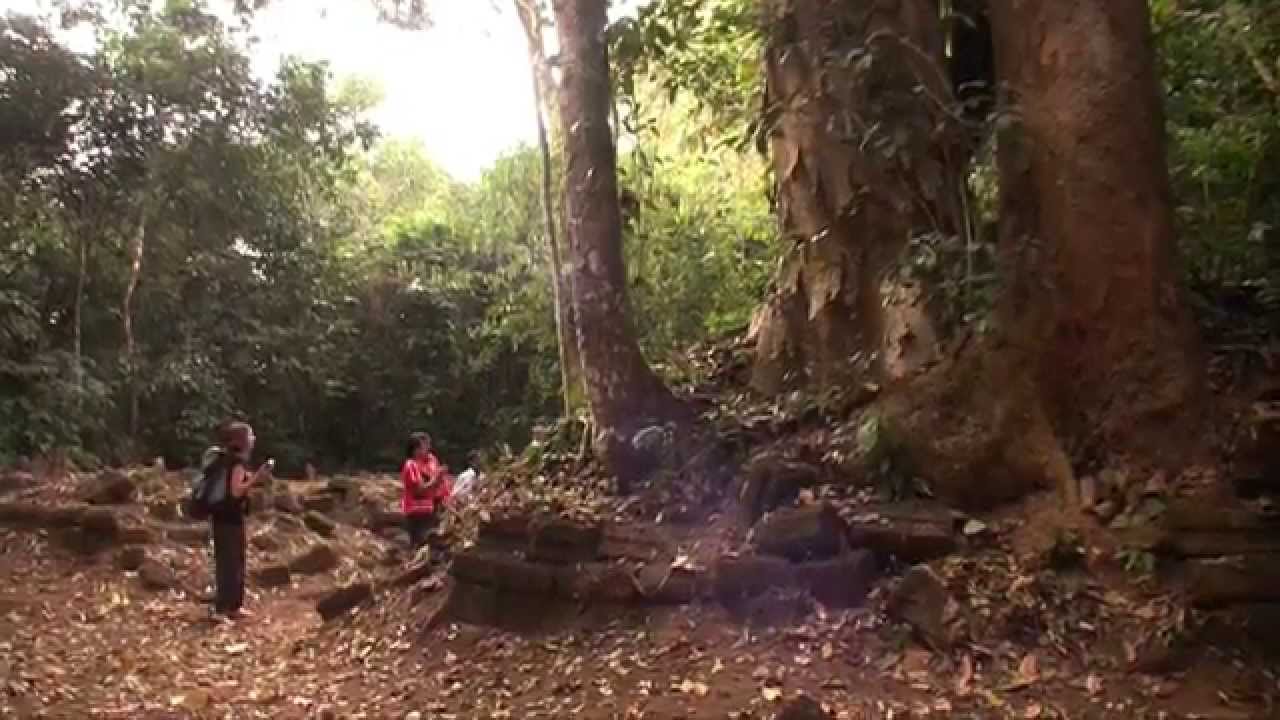 Community-linked conservation using Devakad (sacred groves)