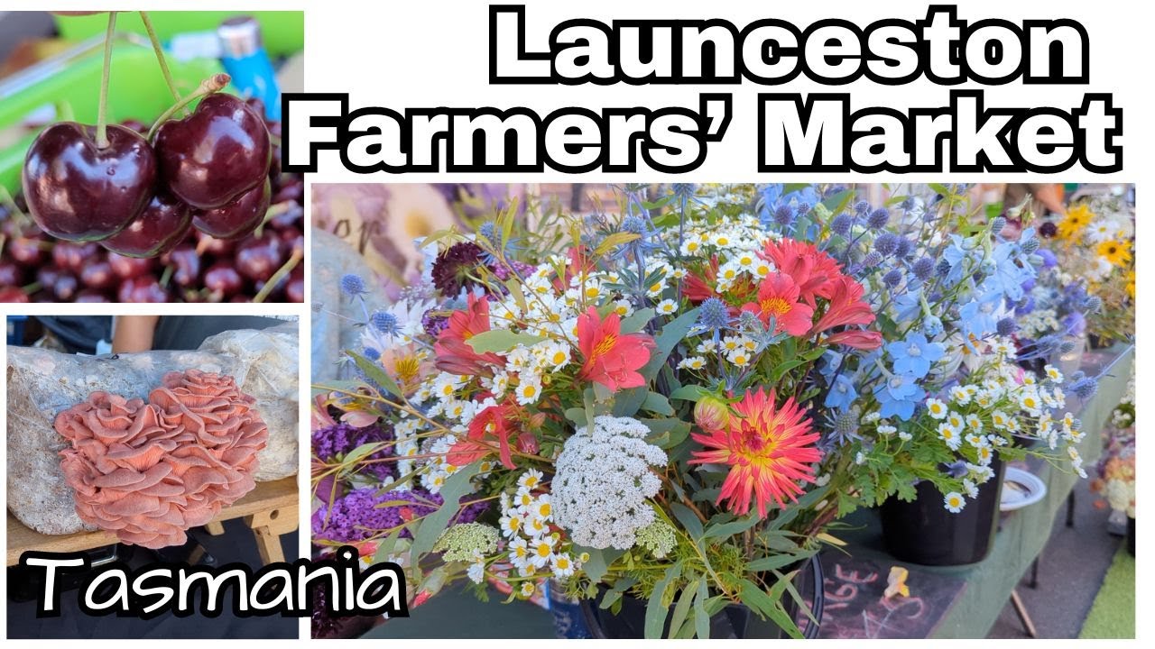 Launceston farmers' market, Harvest Launceston Community Farmers’ Market , Launceston Tasmania