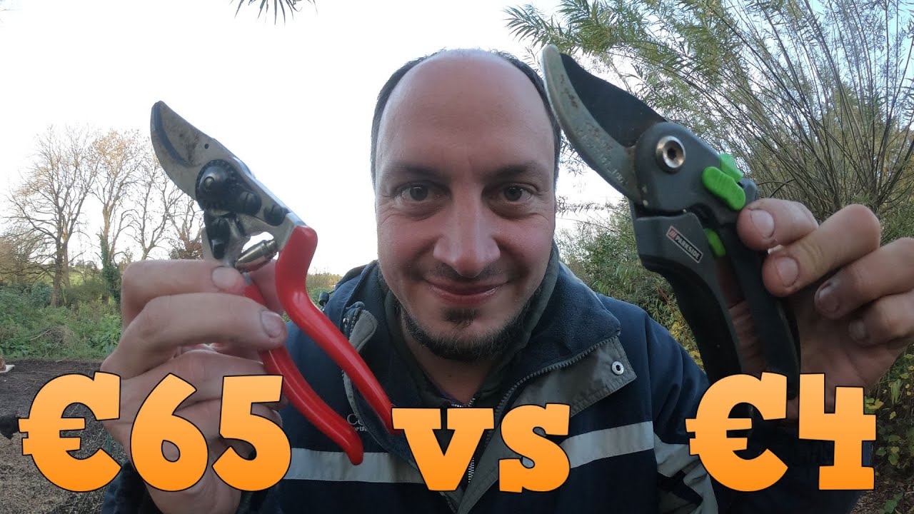 Cheap vs Expensive Secateurs - Lidl vs Felco