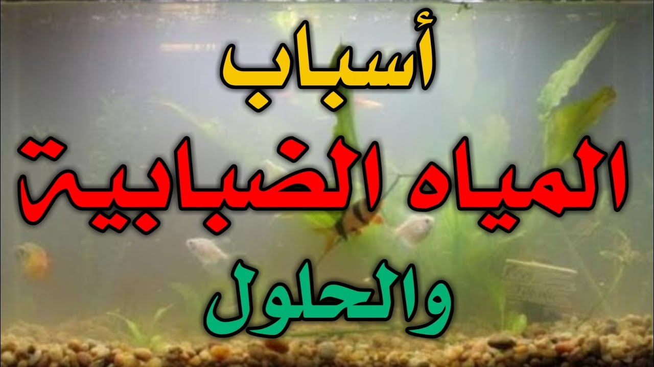 عكارة الماء او مايعرف بالمياه الضبابية