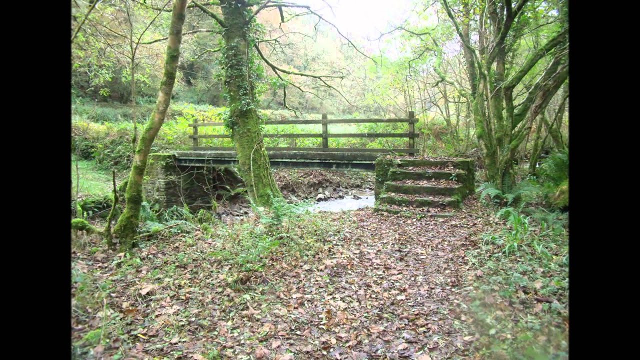 Heddon Valley