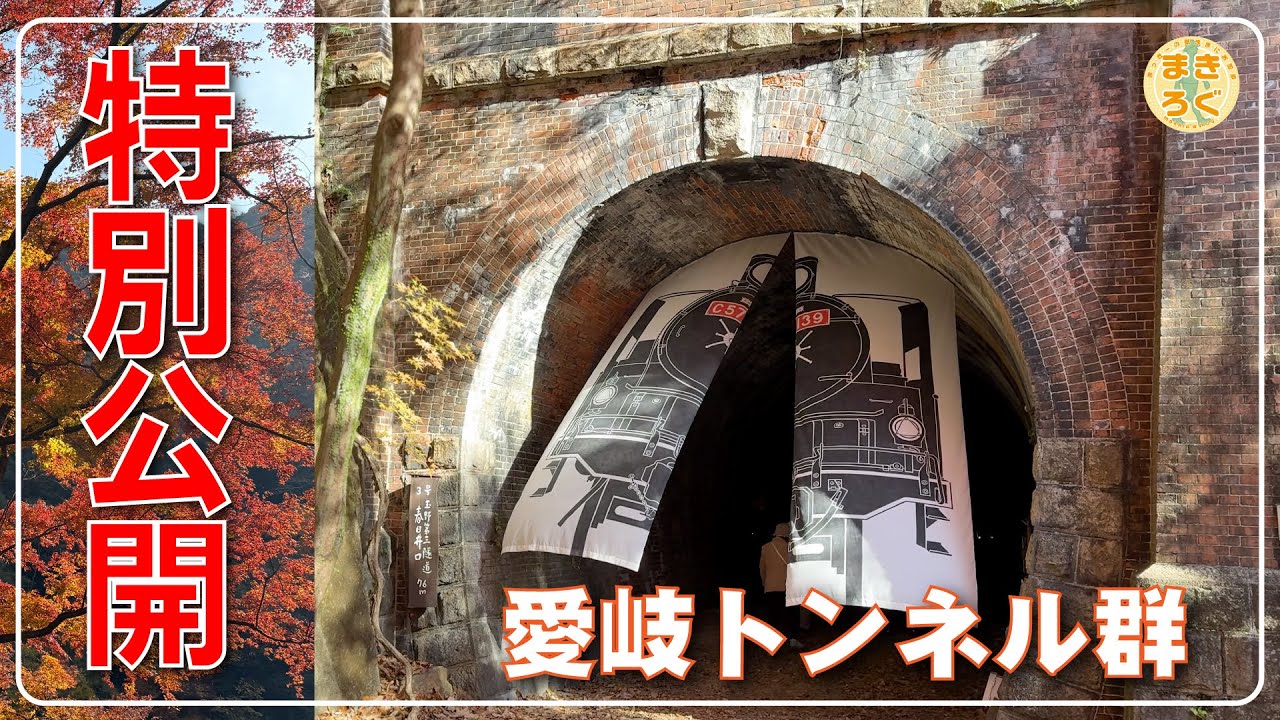 【愛岐トンネル群】9日限定の紅葉トンネルを歩く｜旧中央線 廃線ウォークVlog