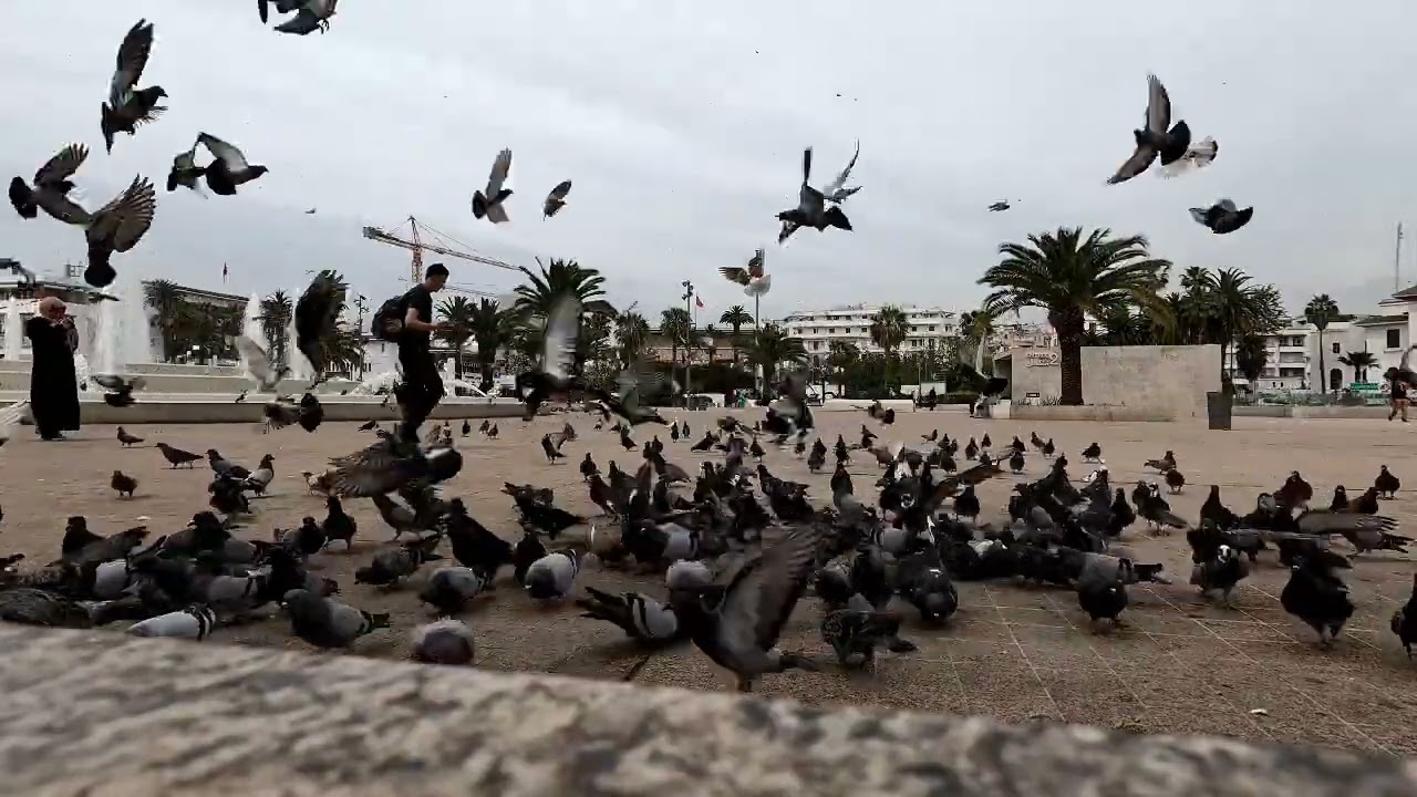 ساحة محمد الخامس place mohamed 5 casablanca 2025