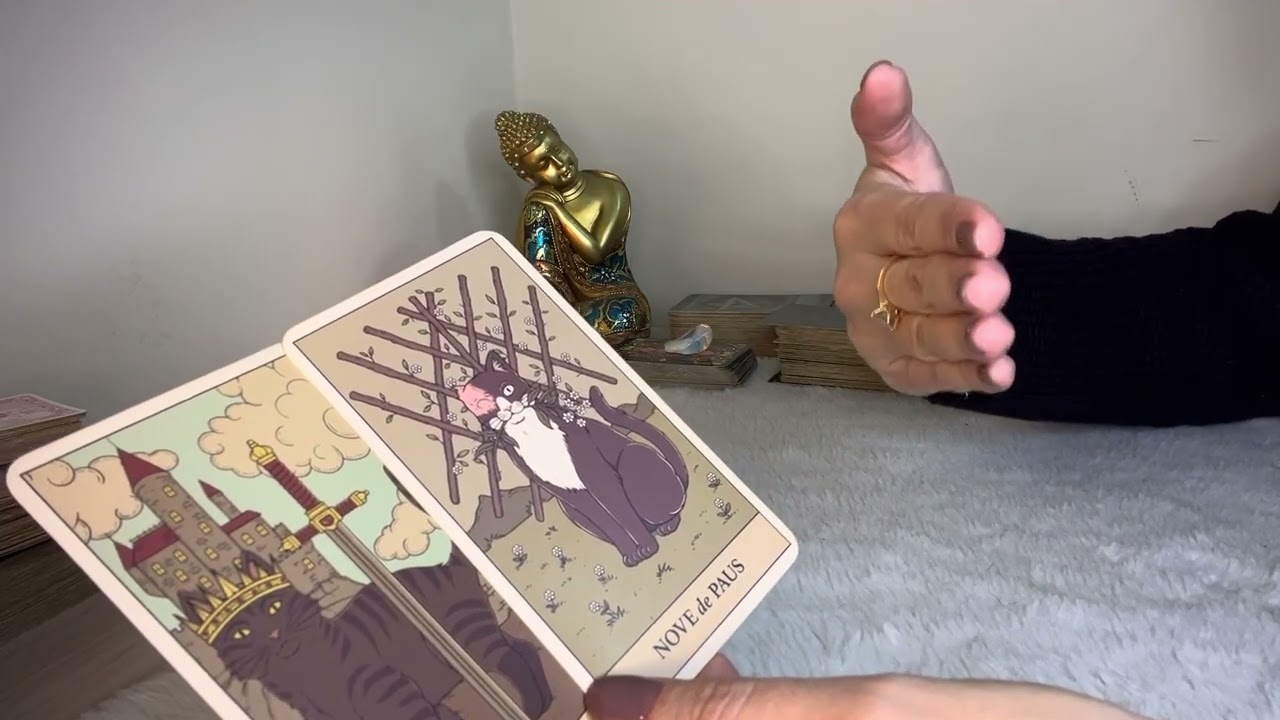 Como será o NOVO AMOR que virá pra minha vida? TAROT Revela Tudo 💘
